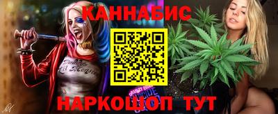 гидропоника Можга