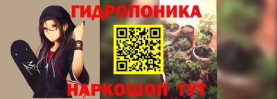 стаф Моздок