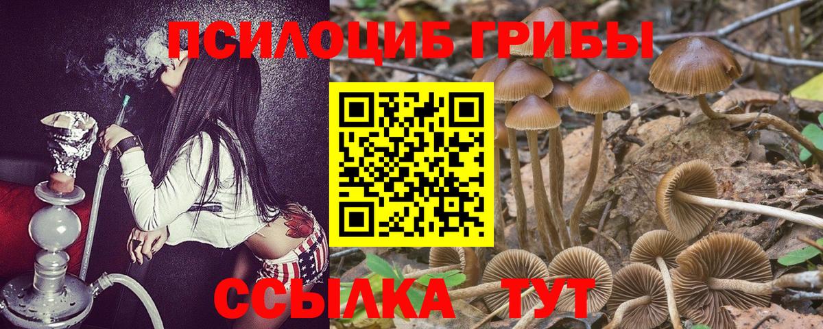 Татарск  Галлюциногенные грибы Magic Shrooms  Вход с VPN 
